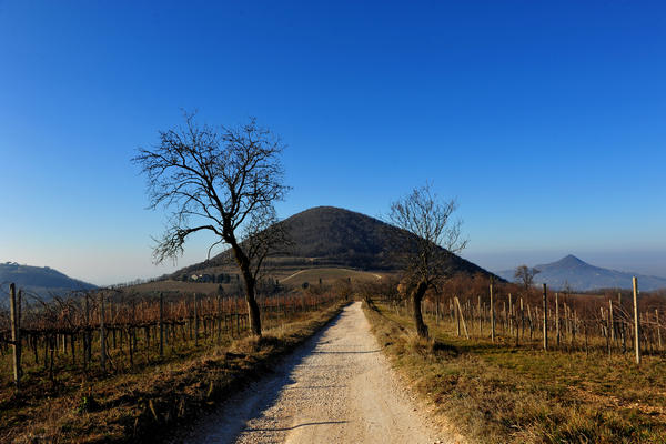 sentiero del monte Fasolo e del monte Rusta nei Colli Euganei