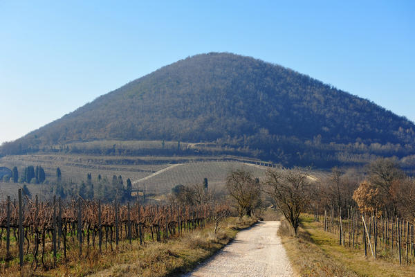 sentiero del monte Fasolo e del monte Rusta nei Colli Euganei