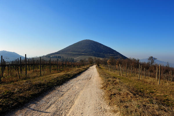 sentiero del monte Fasolo e del monte Rusta nei Colli Euganei