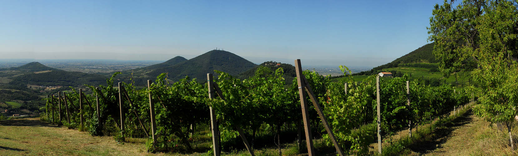 Monte Fasolo verso Baone Calaone Este, Colli Euganei, Padova