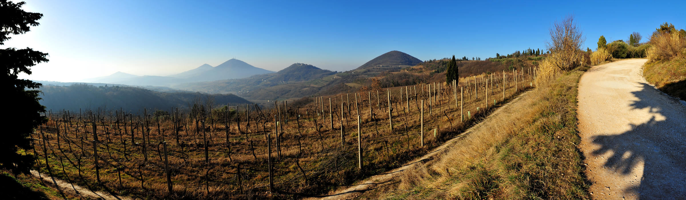 Monte Fasolo verso Baone Calaone Este, Colli Euganei, Padova