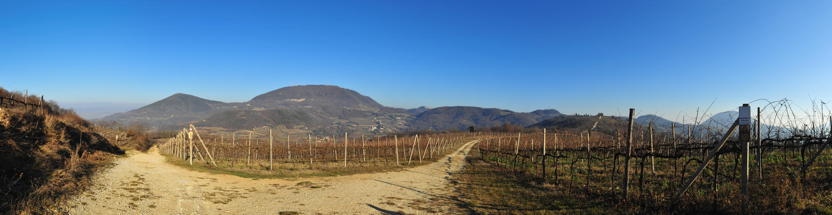 Monte Rusta Monte Fasolo verso monte Venda, Colli Euganei, Padova