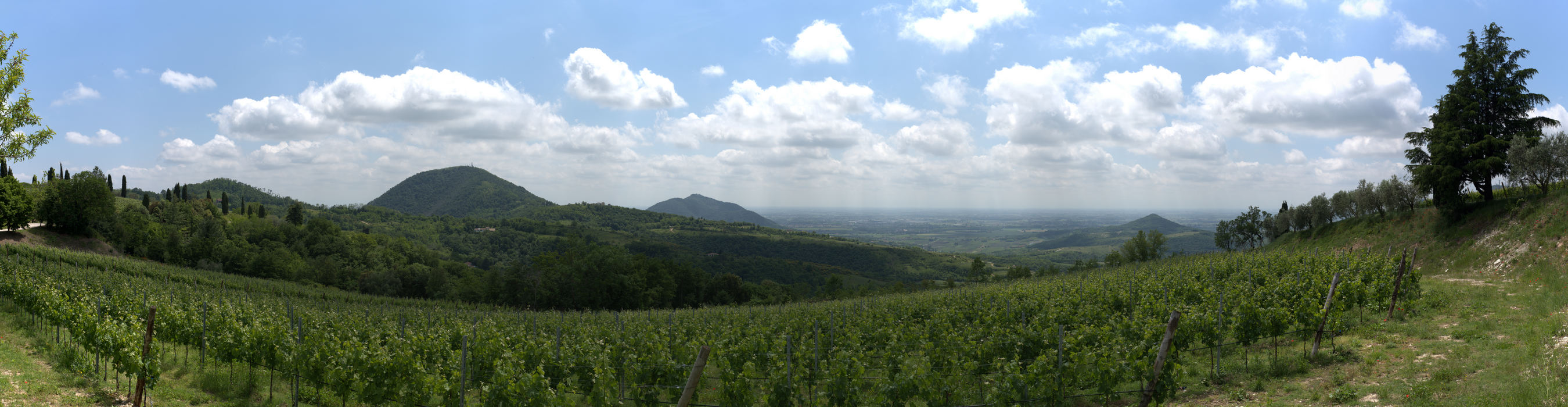 i Colli Euganei dai pressi del monte Fasolo