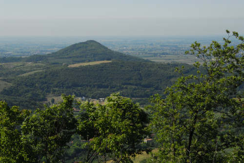 Monte Fasolo, Colli Euganei