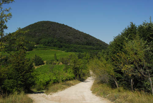 Monte Fasolo, Colli Euganei