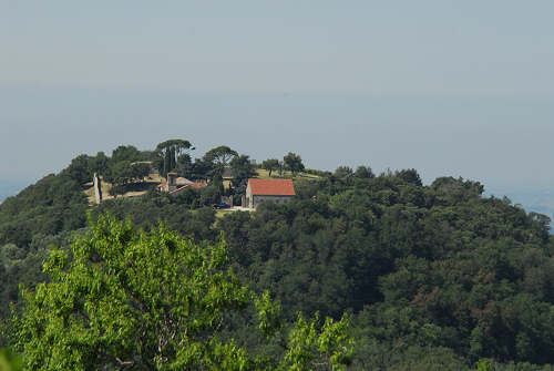 Monte Fasolo, Colli Euganei