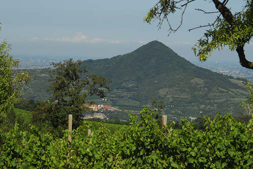 Monte Fasolo, Colli Euganei