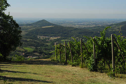 Monte Fasolo, Colli Euganei