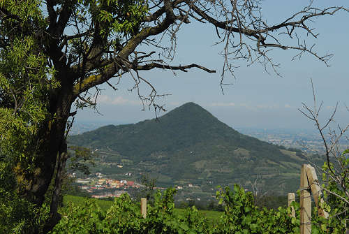 Monte Fasolo, Colli Euganei