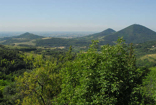 Monte Fasolo, Colli Euganei