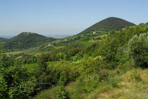 Monte Fasolo, Colli Euganei