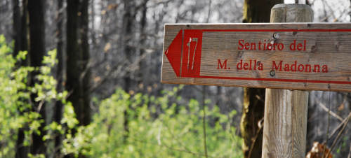 passo Fiorine, Rovolon Teolo