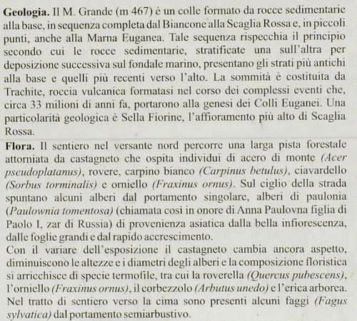 Colli Euganei, anello del monte Grande dal passo Fiorine