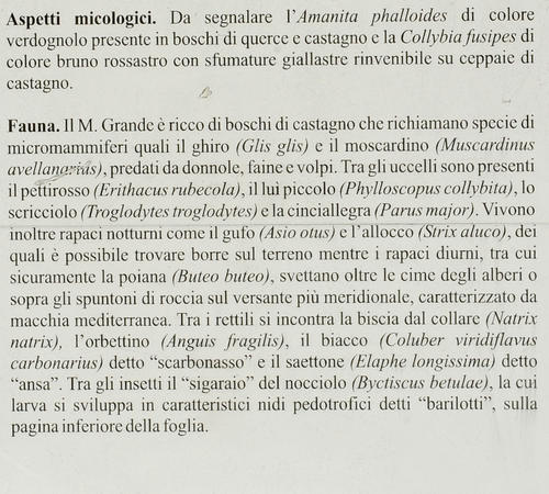 Colli Euganei, anello del monte Grande dal passo Fiorine