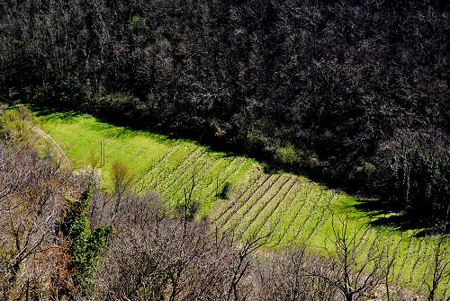 S.Antonio Abate, passo Fiorine, Teolo