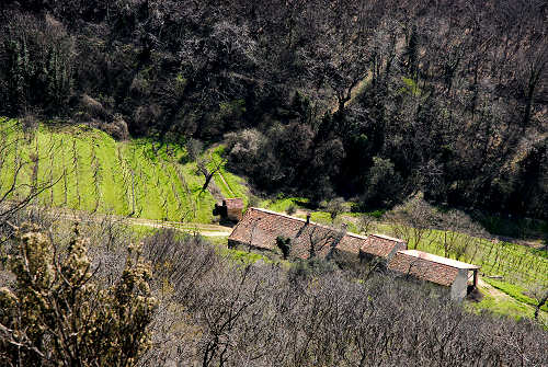 S.Antonio Abate, passo Fiorine, Teolo