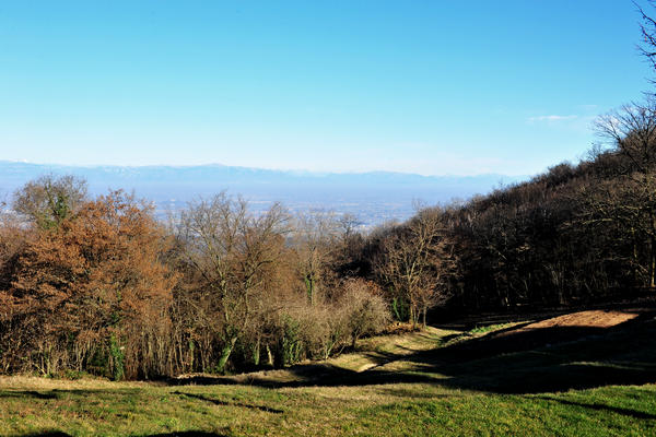 passeggiata dal passo Fiorine attorno al monte Grande nei Colli Euganei a Teolo Rovolon