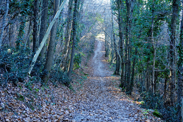 passeggiata dal passo Fiorine attorno al monte Grande nei Colli Euganei a Teolo Rovolon