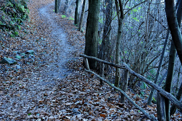 passeggiata dal passo Fiorine attorno al monte Grande nei Colli Euganei a Teolo Rovolon