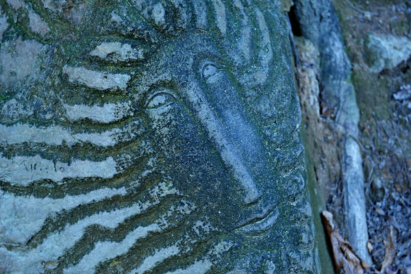 passeggiata dal passo Fiorine attorno al monte Grande nei Colli Euganei a Teolo Rovolon