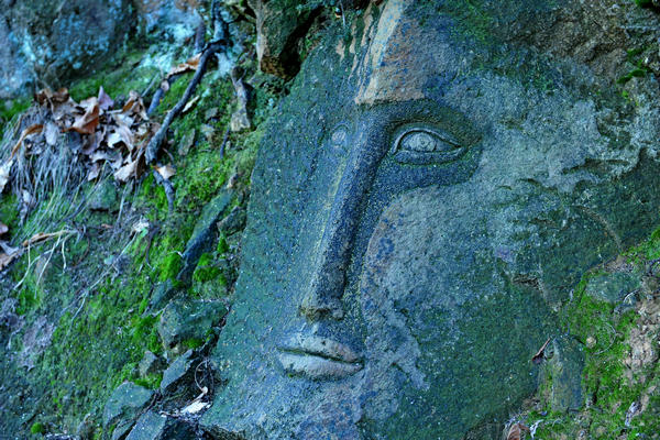 passeggiata dal passo Fiorine attorno al monte Grande nei Colli Euganei a Teolo Rovolon