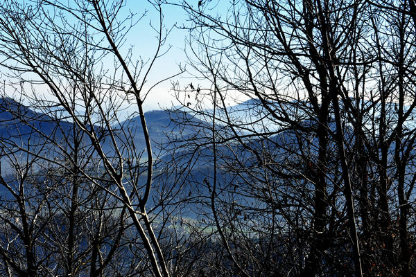 passeggiata dal passo Fiorine attorno al monte Grande nei Colli Euganei a Teolo Rovolon