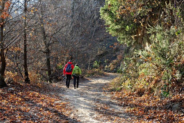 passeggiata dal passo Fiorine attorno al monte Grande nei Colli Euganei a Teolo Rovolon