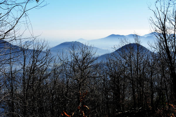 passeggiata dal passo Fiorine attorno al monte Grande nei Colli Euganei a Teolo Rovolon