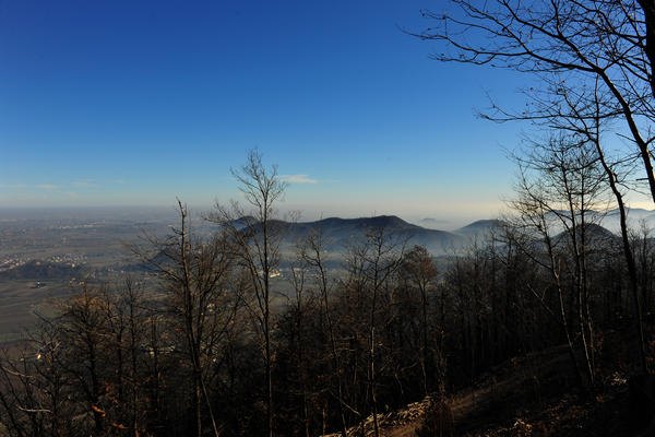 passeggiata dal passo Fiorine attorno al monte Grande nei Colli Euganei a Teolo Rovolon