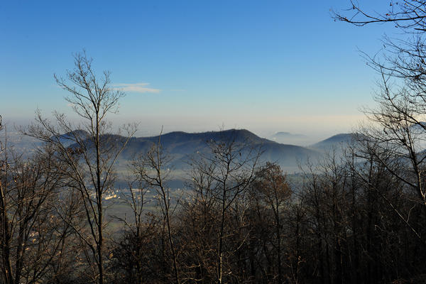 passeggiata dal passo Fiorine attorno al monte Grande nei Colli Euganei a Teolo Rovolon