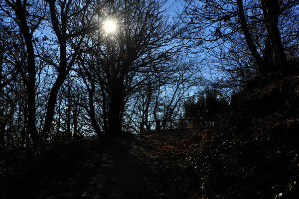 passeggiata dal passo Fiorine attorno al monte Grande nei Colli Euganei a Teolo Rovolon