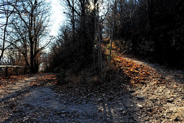 passeggiata dal passo Fiorine attorno al monte Grande nei Colli Euganei a Teolo Rovolon