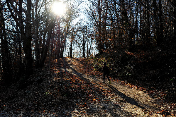 passeggiata dal passo Fiorine attorno al monte Grande nei Colli Euganei a Teolo Rovolon
