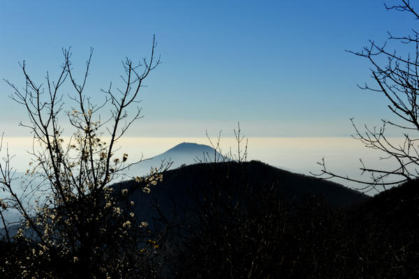 passeggiata dal passo Fiorine attorno al monte Grande nei Colli Euganei a Teolo Rovolon
