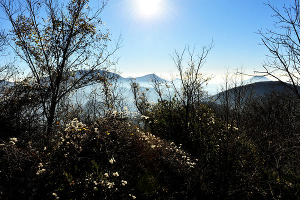 passeggiata dal passo Fiorine attorno al monte Grande nei Colli Euganei a Teolo Rovolon