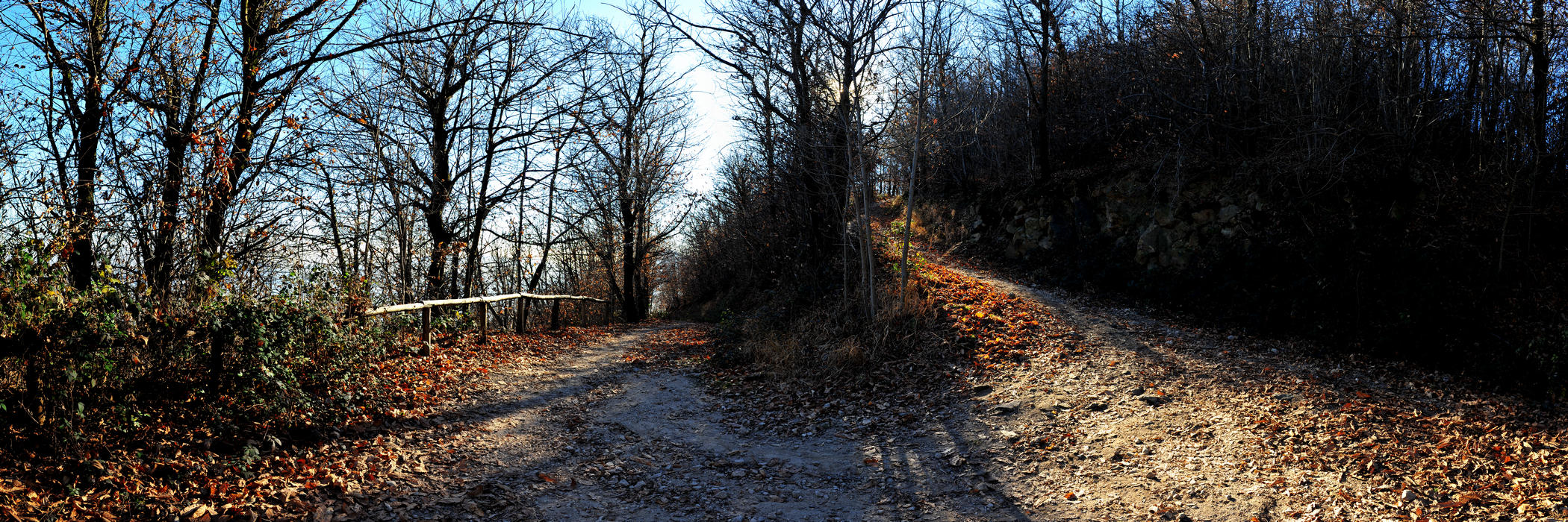 Monte Grande, mulattiera TransEuganea