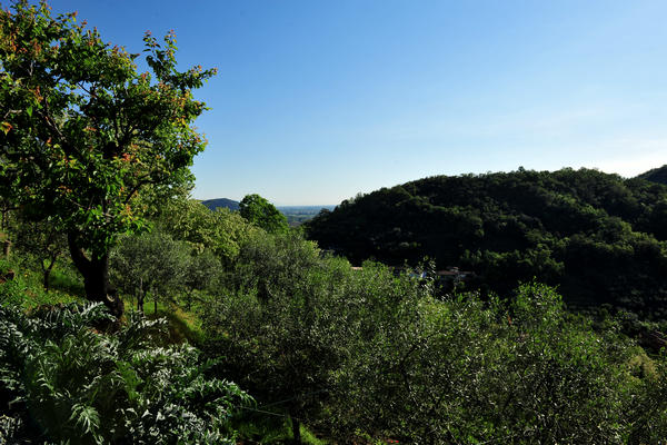 Galzignano, Roccolo Bonato, Sentiero dell'Eremo, monte Rua, passo Roccolo, Venda, Sottovenda, Orsara