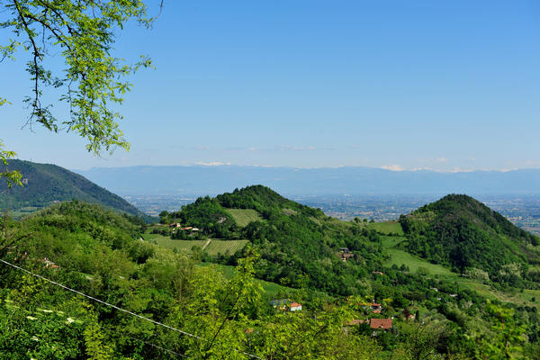 Galzignano, Roccolo Bonato, Sentiero dell'Eremo, monte Rua, passo Roccolo, Venda, Sottovenda, Orsara