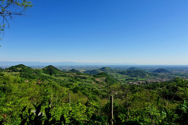 Galzignano, Roccolo Bonato, Sentiero dell'Eremo, monte Rua, passo Roccolo, Venda, Sottovenda, Orsara