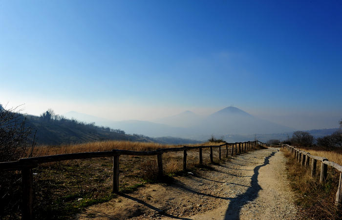 Sentiero Atestino al Mottolone - Arquà Petrarca Colli Euganei
