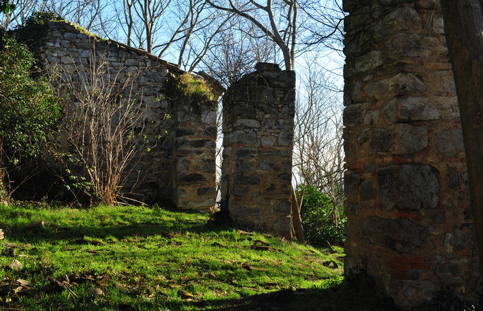 Sentiero Atestino ai ruderi monastero monte Orbieso - Valsanzibio Galzignano Terme Colli Euganei