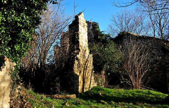 Sentiero Atestino ai ruderi monastero monte Orbieso - Valsanzibio Galzignano Terme Colli Euganei