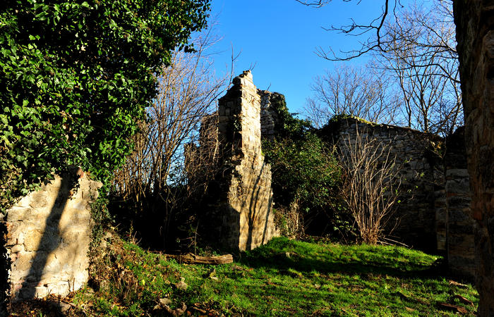 Sentiero Atestino ai ruderi monastero monte Orbieso - Valsanzibio Galzignano Terme Colli Euganei