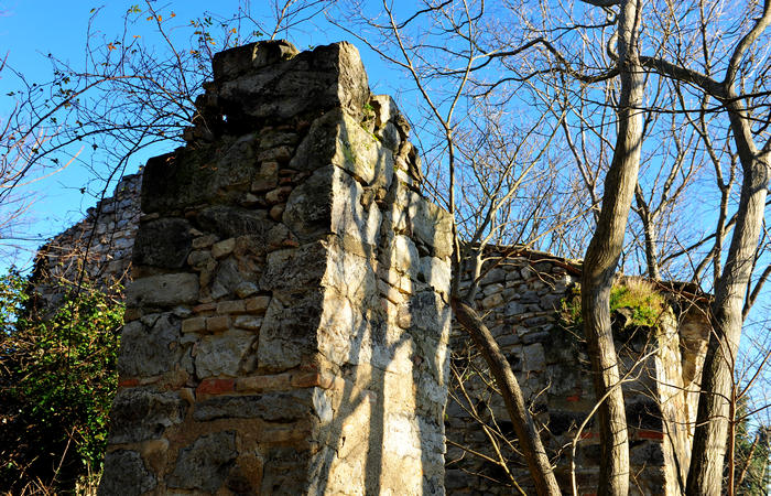 Sentiero Atestino ai ruderi monastero monte Orbieso - Valsanzibio Galzignano Terme Colli Euganei