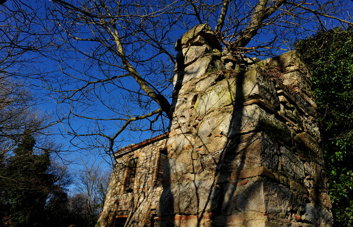 Sentiero Atestino ai ruderi monastero monte Orbieso - Valsanzibio Galzignano Terme Colli Euganei