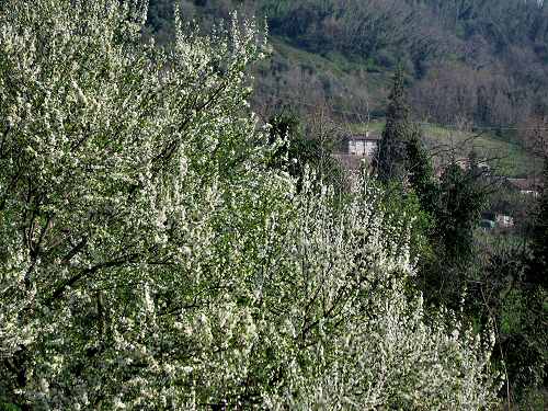 Valsanzibio - Galzignano Terme - Colli Euganei - Padova