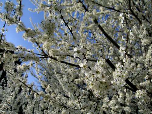 Valsanzibio - Galzignano Terme - Colli Euganei - Padova