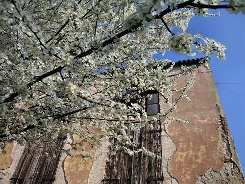 Valsanzibio - Galzignano Terme - Colli Euganei - Padova