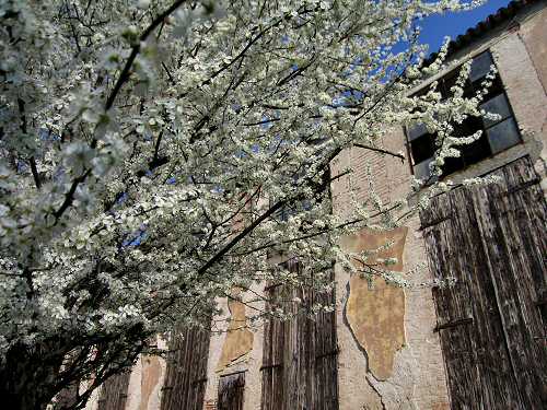 Valsanzibio - Galzignano Terme - Colli Euganei - Padova