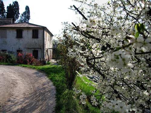 Valsanzibio - Galzignano Terme - Colli Euganei - Padova
